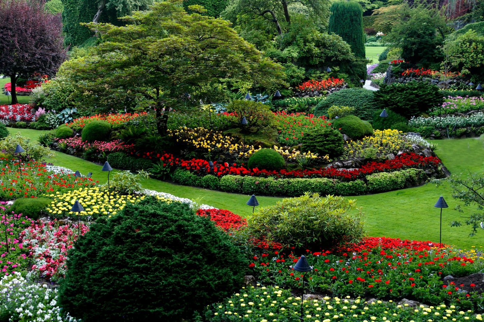 Création de jardin
